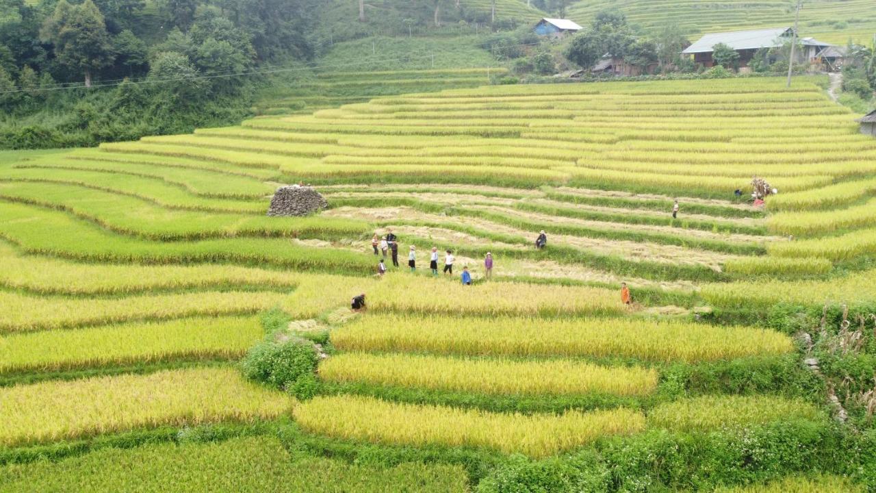 May Homestay Sapa Extérieur photo